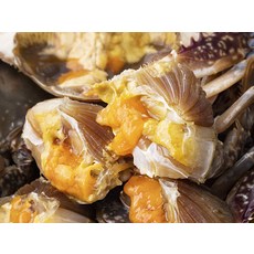 바다미식회 살이꽉찬 국내산 알배기 절단꽃게 (냉동), 500g, 1개 - 이미지 4
