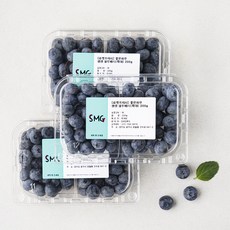 좋은하루 생생 블루베리 특대, 200g, 3팩