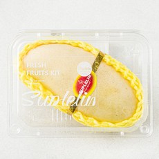 수플린 태국산 남독마이 망고, 460g, 1팩
