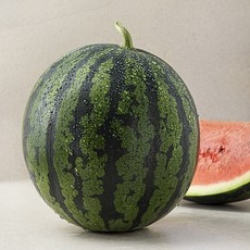 다조은 당도선별 수박, 6kg 미만, 1개