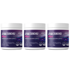 웰빙곳간 리얼 크레아틴 모노하이드레이트, 300g, 3개