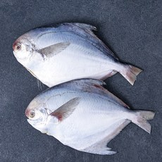 목포수협 손질 병어 대 2미, 500g 이상, 1개