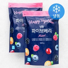 파이브베리 (냉동), 500g, 2개