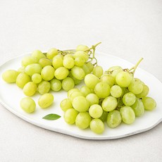 다조은 호주산 씨없는 청포도, 1.5kg, 1팩