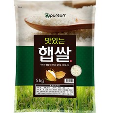 이푸른 맛있는 햅쌀, 보통등급, 5kg, 1개 5kg, 1개