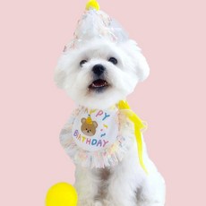 하피블리 반려동물 생일 파티 용품 모자 + 턱받이 세트, 옐로우