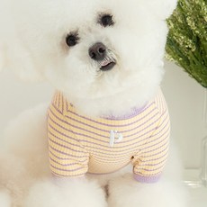펫츠랜드 강아지 앨리스 티셔츠, 옐로우