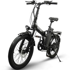 레이윙 디스커버리 엔트리 18 2A 36V 350W 배터리 접이식 전기자전거 50cm F20E 스틸 블랙