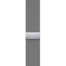 Apple 정품 애플워치 밀레니즈 루프, 실버, 42/44/45/49mm
