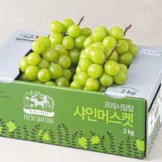 프레시탐탐 상주GAP 당도산별 샤인머스켓, 2kg(3~4입), 1박스