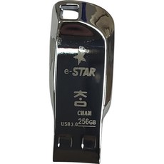eSTARSSD 3 USB 메모리 실버 CHAM,