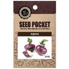 월드가드닝 정원 텃밭 좋은 씨앗 뿌리채소 적콜라비씨 300p, 300개, 1개