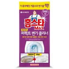 홈스타 맥스 퍼펙트 변기 클리너, 540ml, 1개