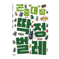 곤충 대장 딱정벌레, 보리출판사, 김종현 글/옥영관 그림/강태화 감수