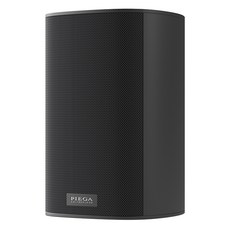 피에가 30 Wireless RX 스피커, ACE 30(Black)