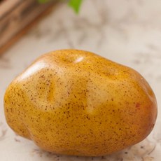 flowertree 馬鈴薯模型蔬菜 2入, 單色