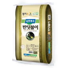 연천농협 2024년산 햅쌀 경기미 반딧불이쌀 대안미, 특등급, 10kg, 1개