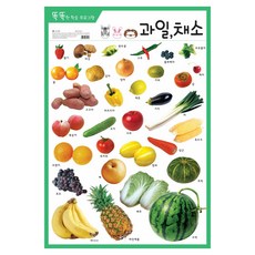 과일. 채소 화보 똑똑한 학습 프로그램, 신세계
