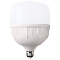 비츠온 LED T-벌브 50W E26, 주광색, 1개 주광색, 1개, 주광색
