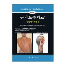 근막도수치료 실습편 레벨 2 제2판, Luigi Stecco, Carla Stecco, 영문출판사