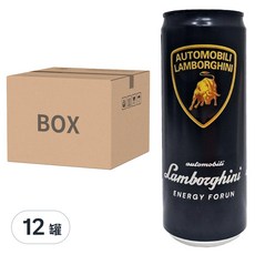 Lamborghini 藍寶堅尼 福潤 能量風味飲料 330ml x12罐, 12罐