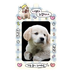 마넷 포토카드 홀더 + 키링 세트, 블루 + 화이트(부끄댕), 1매