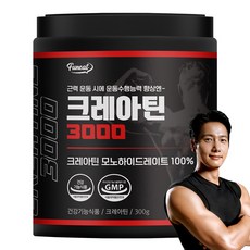 퍼니트 크레아틴 3000, 300g, 1개