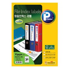 프린텍 화일인덱스 애니라벨 100p 세트 V3450-100, 30칸