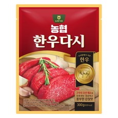 농협식품 한우다시, 1개, 300g
