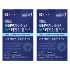 종근당 20100 루테인지아잔틴 아스타잔틴 플러스 영양제, 60정, 2개 60캡슐, 2개