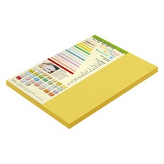 종이문화 레인보우카드 두꺼운 양면카드지 A4 205g 06 딥옐로우, 25개 25개