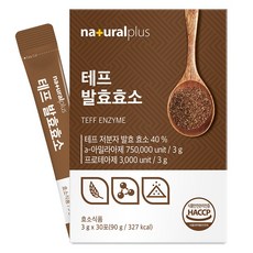 내츄럴플러스 테프 발효효소, 90g, 1개