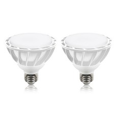 DAYSTAR HOUSE LED PAR30 E26擴散型燈泡 15W 白色, 日光色, 2個