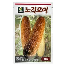 다농 노각오이 씨앗 50p, 1개 1개