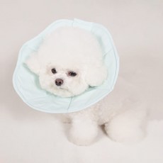TOUCHDOG 超級狗 Mingle Pet寵物超輕量頸圈, 藍色, 1個