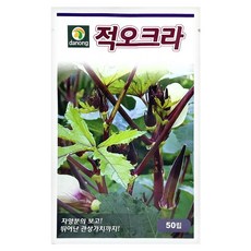 다농 적오크라 씨앗 50p, 1개 1개