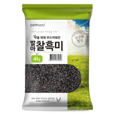 건강한밥상 발아찰흑미, 4kg, 1개 4kg, 1개