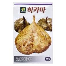 다농 히카마 씨앗 10g, 1개 1개