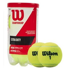 Wilson 冠軍球 數字 隨機出貨 2入組