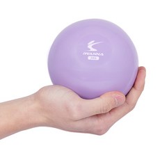 韓國 iWANNA Toning啞鈴, 1kg, 1個, 蘭花紫