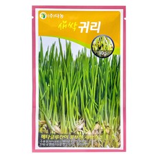다농 새싹귀리 씨앗 30g, 1개 1개