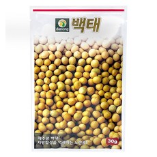 다농 백태 씨앗 30g, 1개 (DN)백태씨앗(30g), 1개