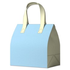 아이엔피 보온보냉 베이커리 부직포 손잡이백 스카이블루 소 21 x 30 x 19 cm, 5개