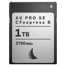 엔젤버드 AV PRO SE CFexpress 4.0 Type B 메모리카드, 1개, 1TB
