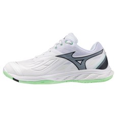 Mizuno 美津濃 Wave Pang 2羽球鞋 71GA231335