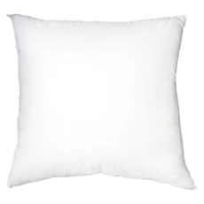 LASSLEY 蕾絲妮 A級長纖棉枕心 50x50cm 填充棉 台灣製, 50 x 50cm, White, 1個