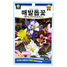 다농 매발톱꽃 메카나자이언츠믹스 씨앗 400p, 1개