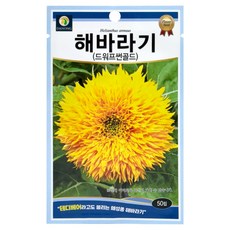 다농 해바라기 드워프썬골드 씨앗 50p, 1개