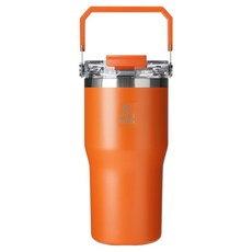 캐리보틀 듀얼플로우 탑핸들 텀블러, 탠저린, 1개, 630ml