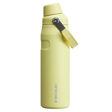 STANLEY 輕重力系列 IceFlow Aerolight 快充瓶 萊姆黃 710ml 輕巧保溫瓶, 1個